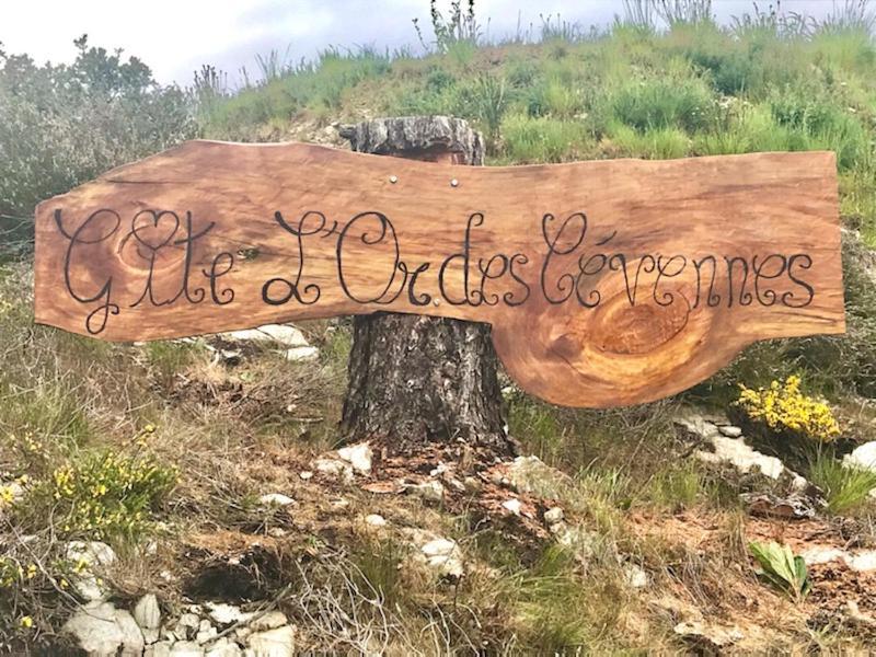 Gite L'Or Des Cevennes Saint-Andre-Capceze Buitenkant foto
