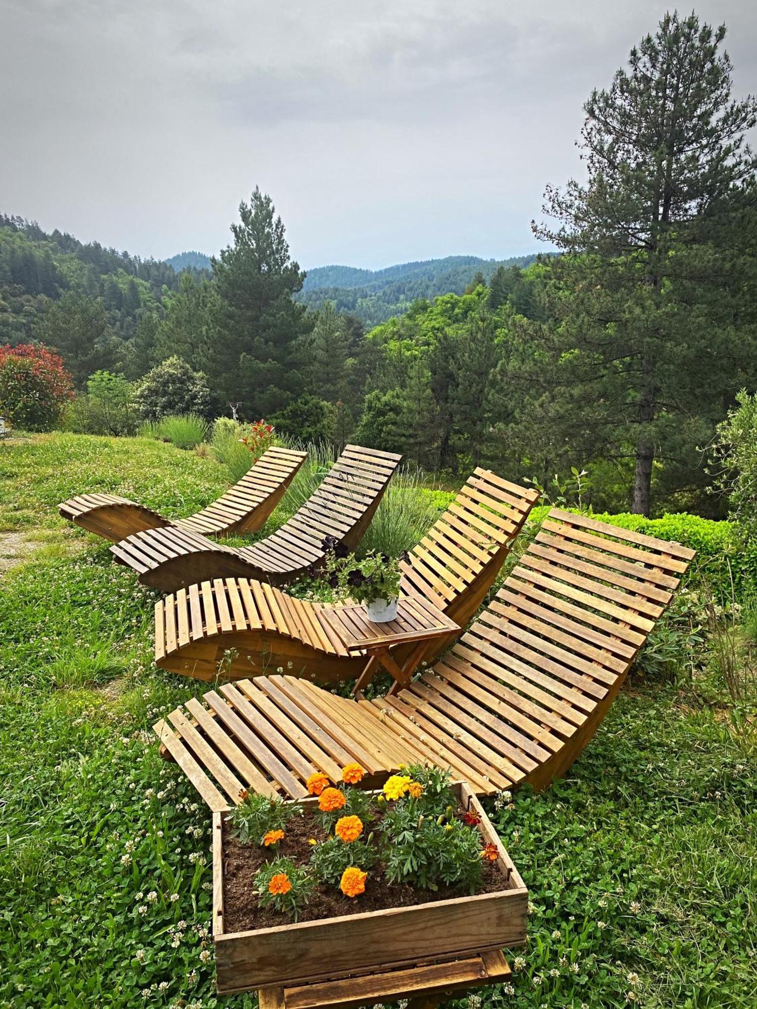 Gite L'Or Des Cevennes Saint-Andre-Capceze Buitenkant foto