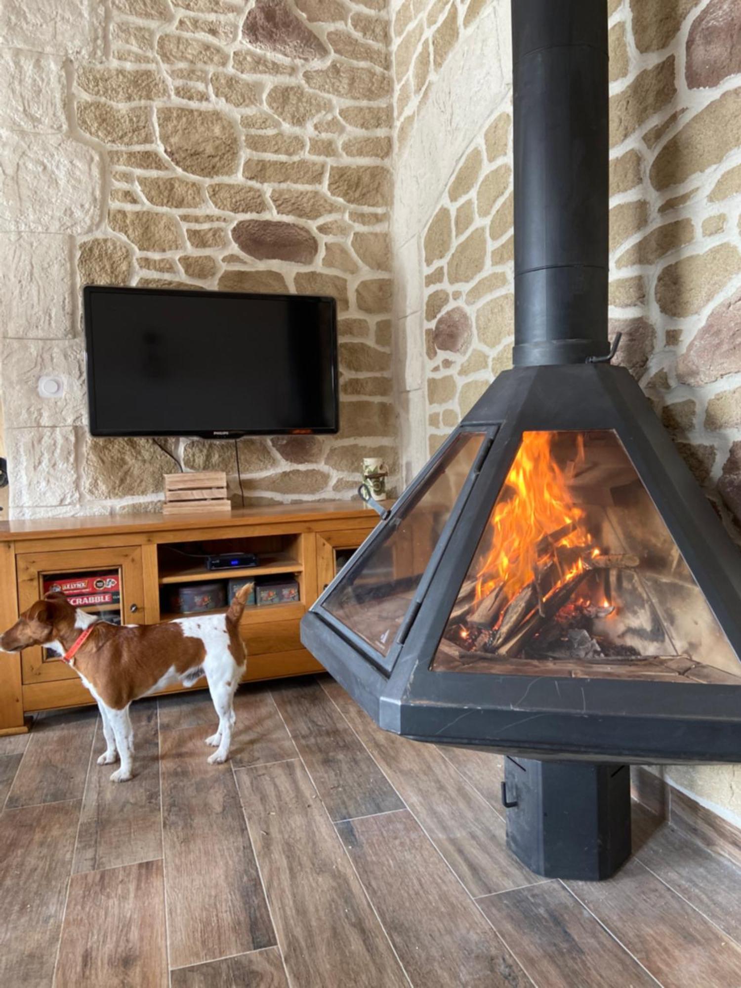 Gite L'Or Des Cevennes Saint-Andre-Capceze Buitenkant foto