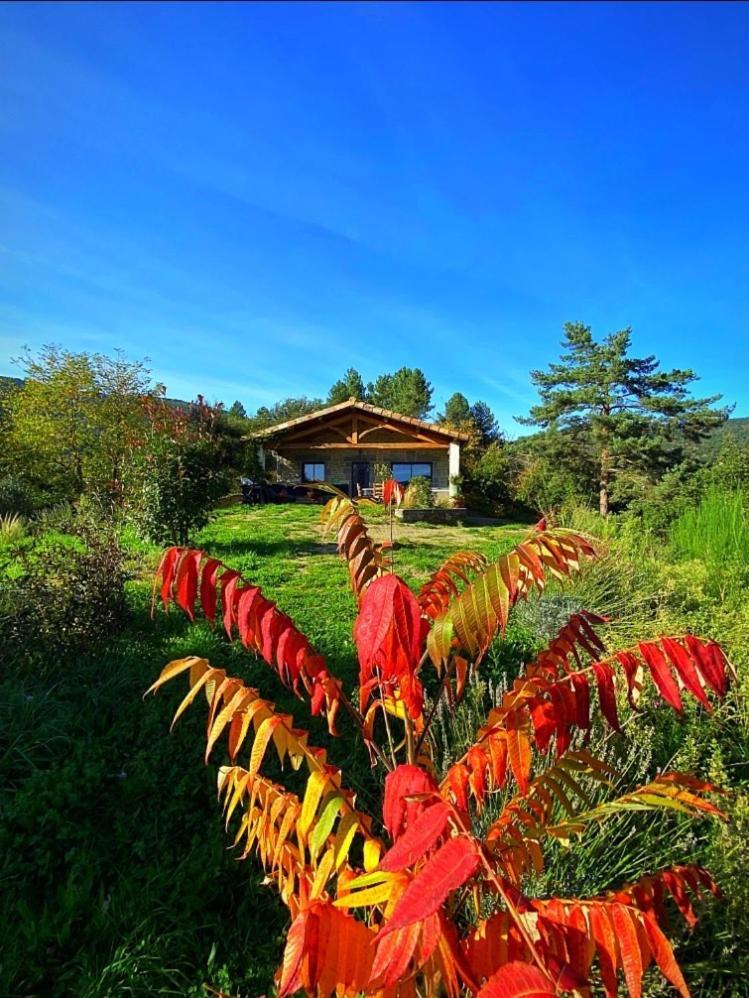 Gite L'Or Des Cevennes Saint-Andre-Capceze Buitenkant foto